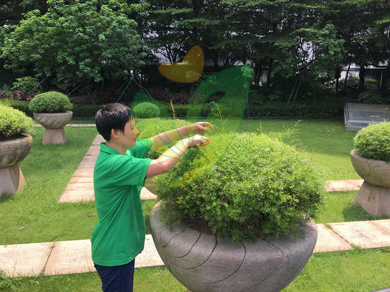 怡軒園林綠化養(yǎng)護