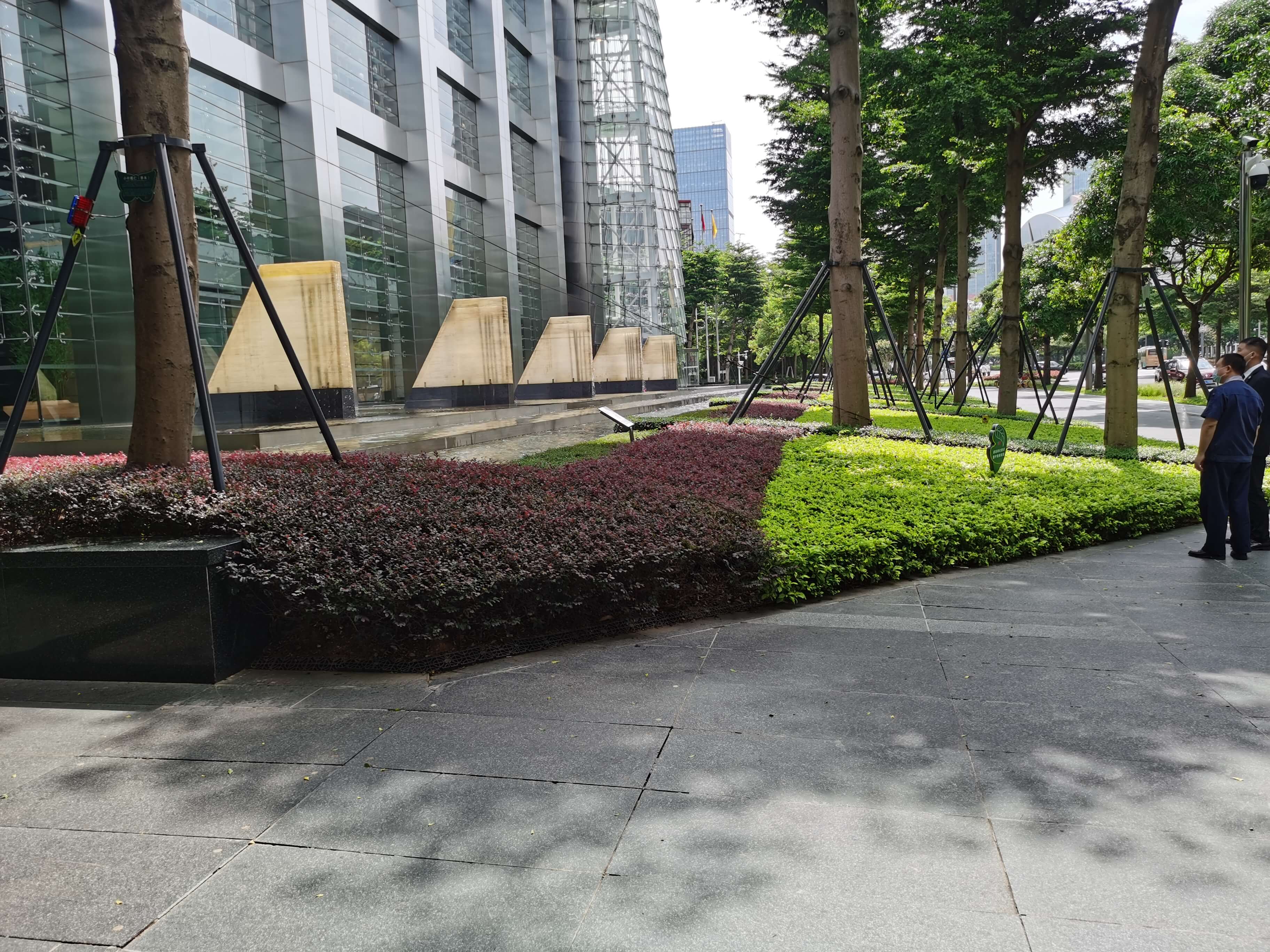 綠化養(yǎng)護