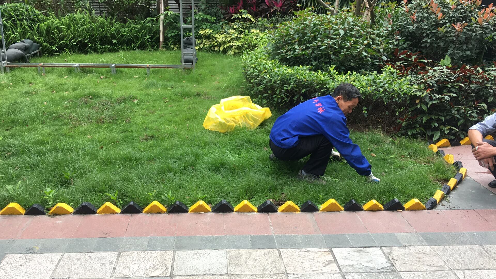 綠化養(yǎng)護(hù)