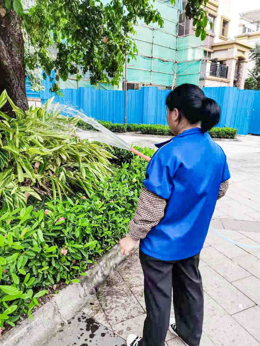 小區(qū)綠化養(yǎng)護