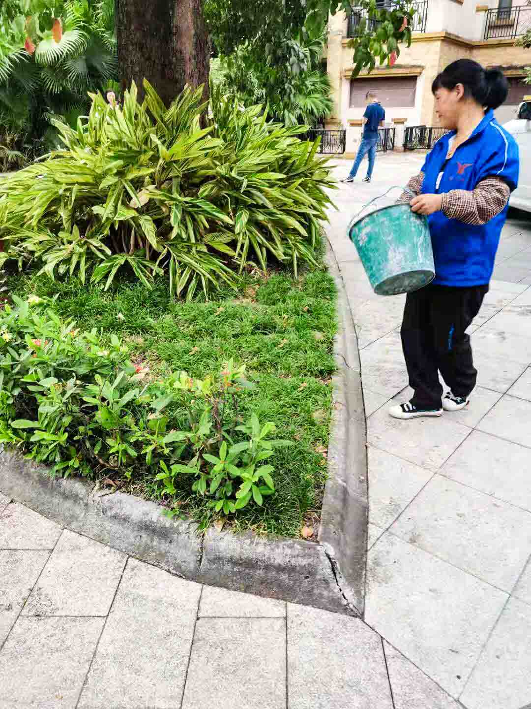小區(qū)綠化養(yǎng)護
