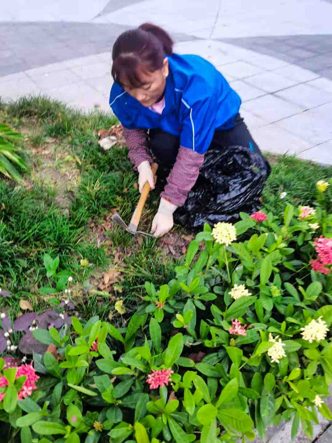 小區(qū)綠化養(yǎng)護