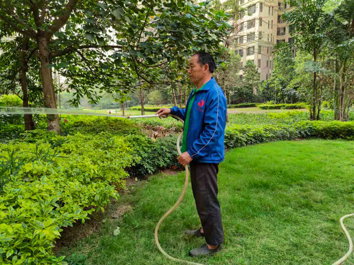 廣州園林綠化養(yǎng)護(hù)，廣州園林綠化養(yǎng)護(hù)公司，園林綠化養(yǎng)護(hù)