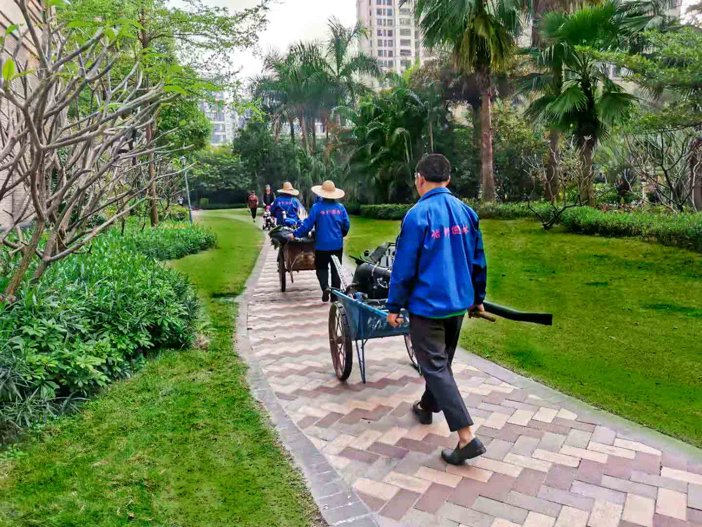 園林綠化養(yǎng)護