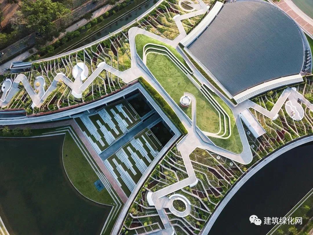 房頂農(nóng)場，深圳園林綠化公司