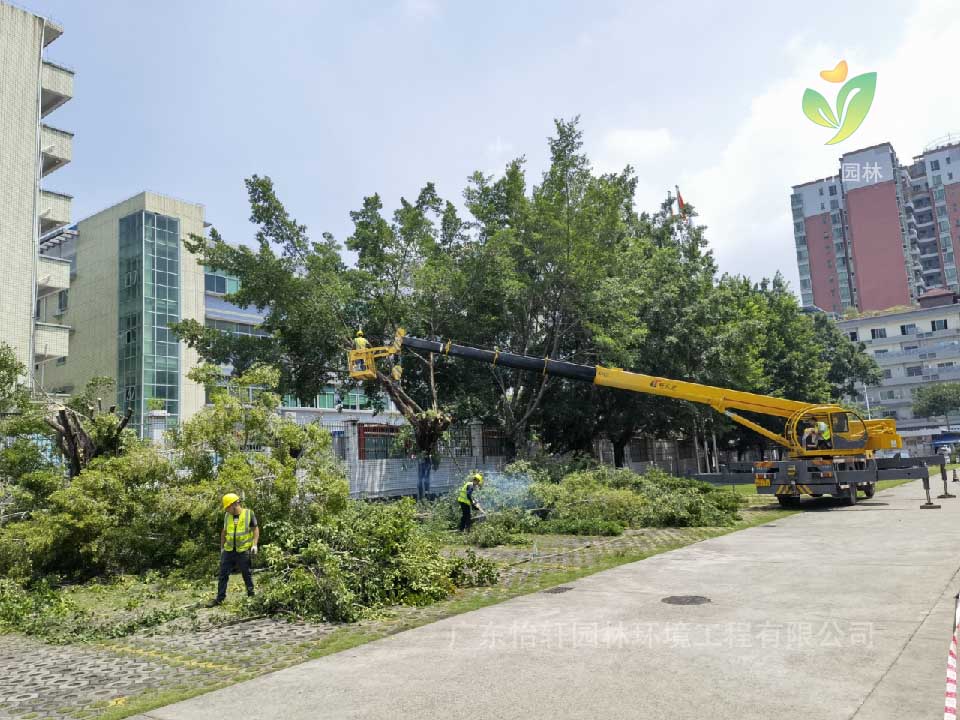 綠化工程，園林綠化公司