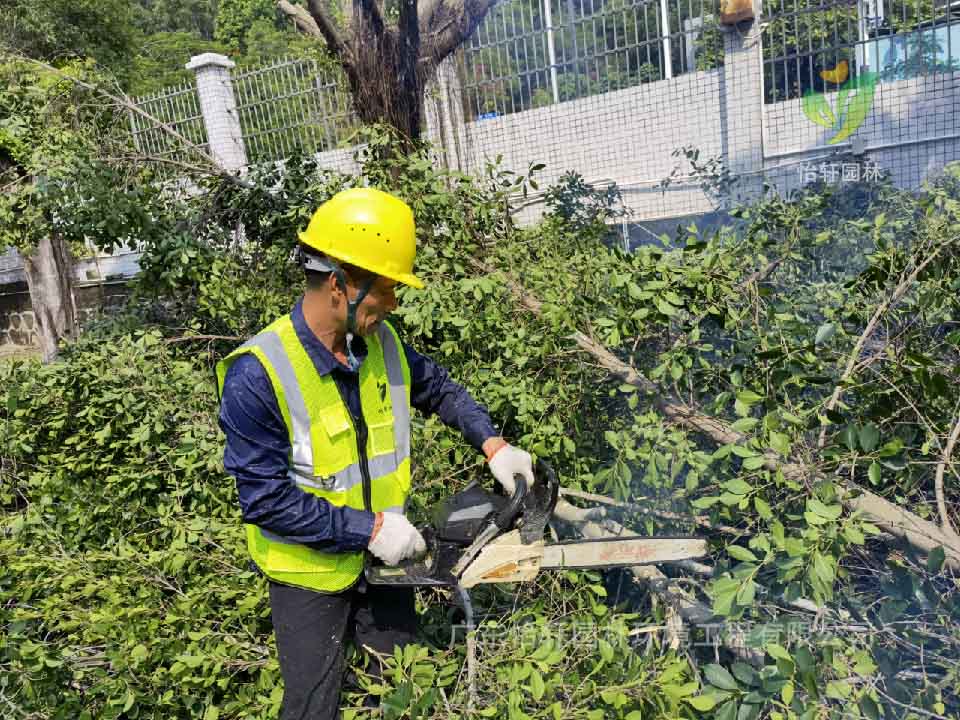 綠化工程，園林綠化公司