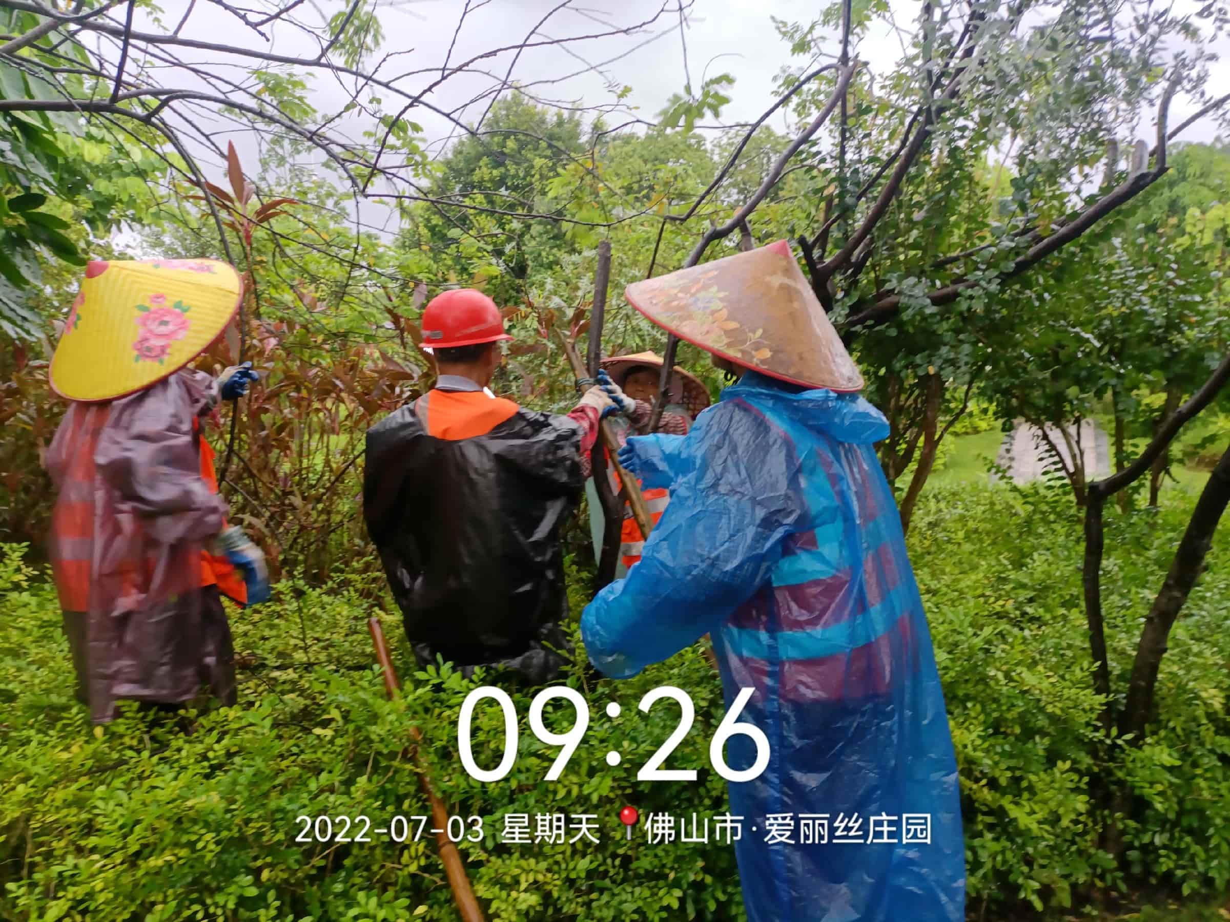 園林綠化養(yǎng)護(hù)