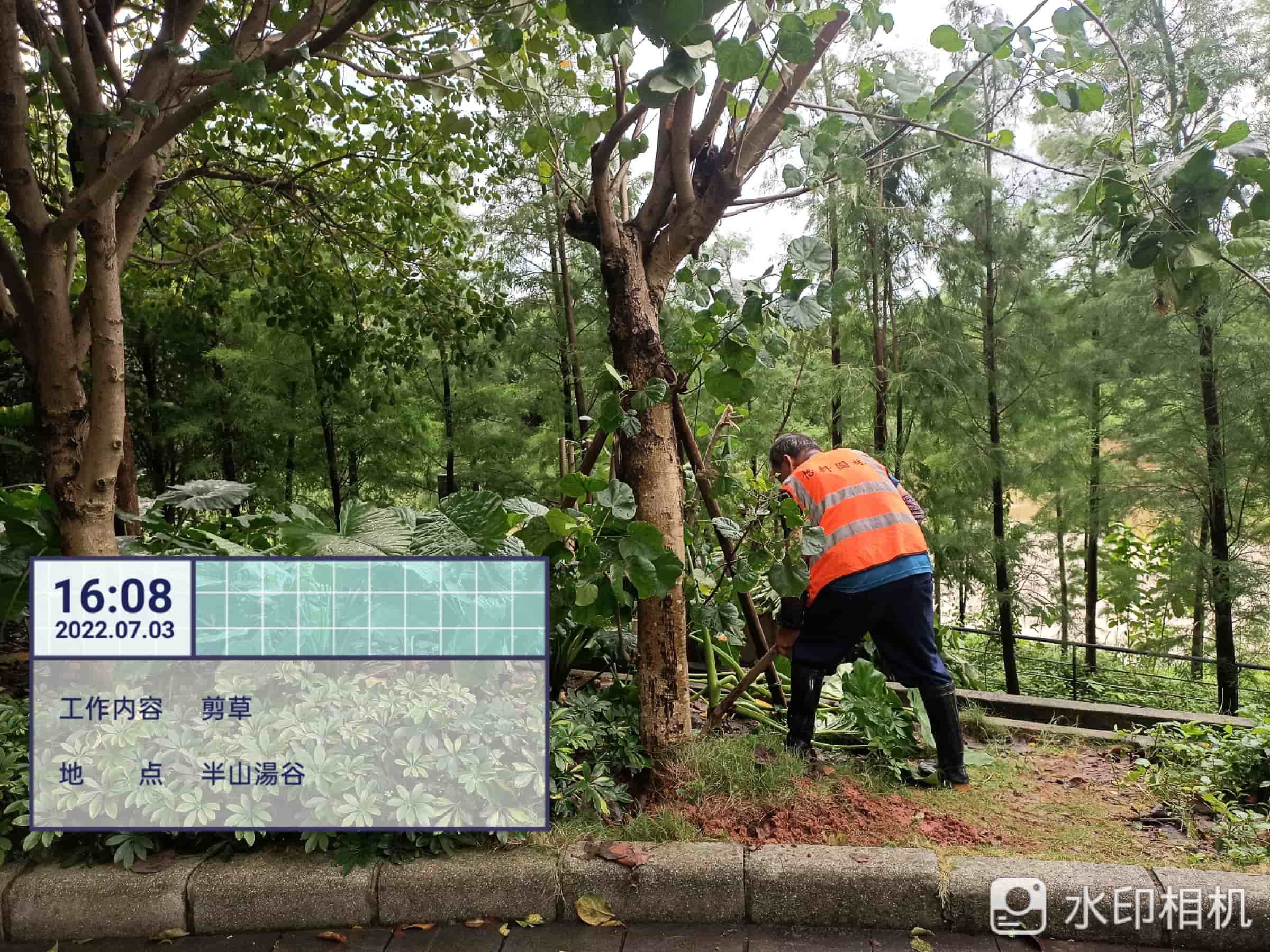 園林綠化養(yǎng)護