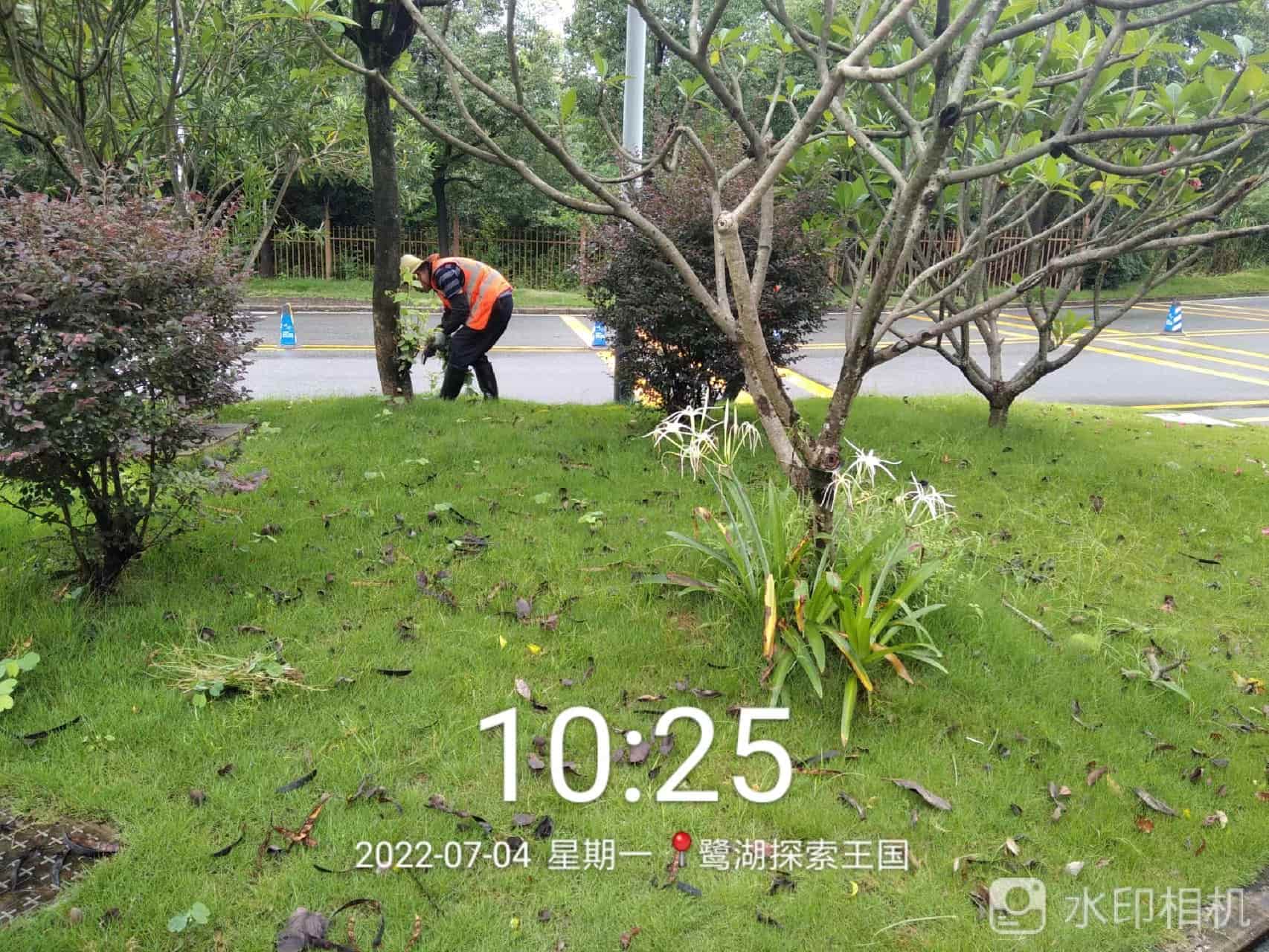 綠化養(yǎng)護(hù),園林綠化養(yǎng)護(hù)公司