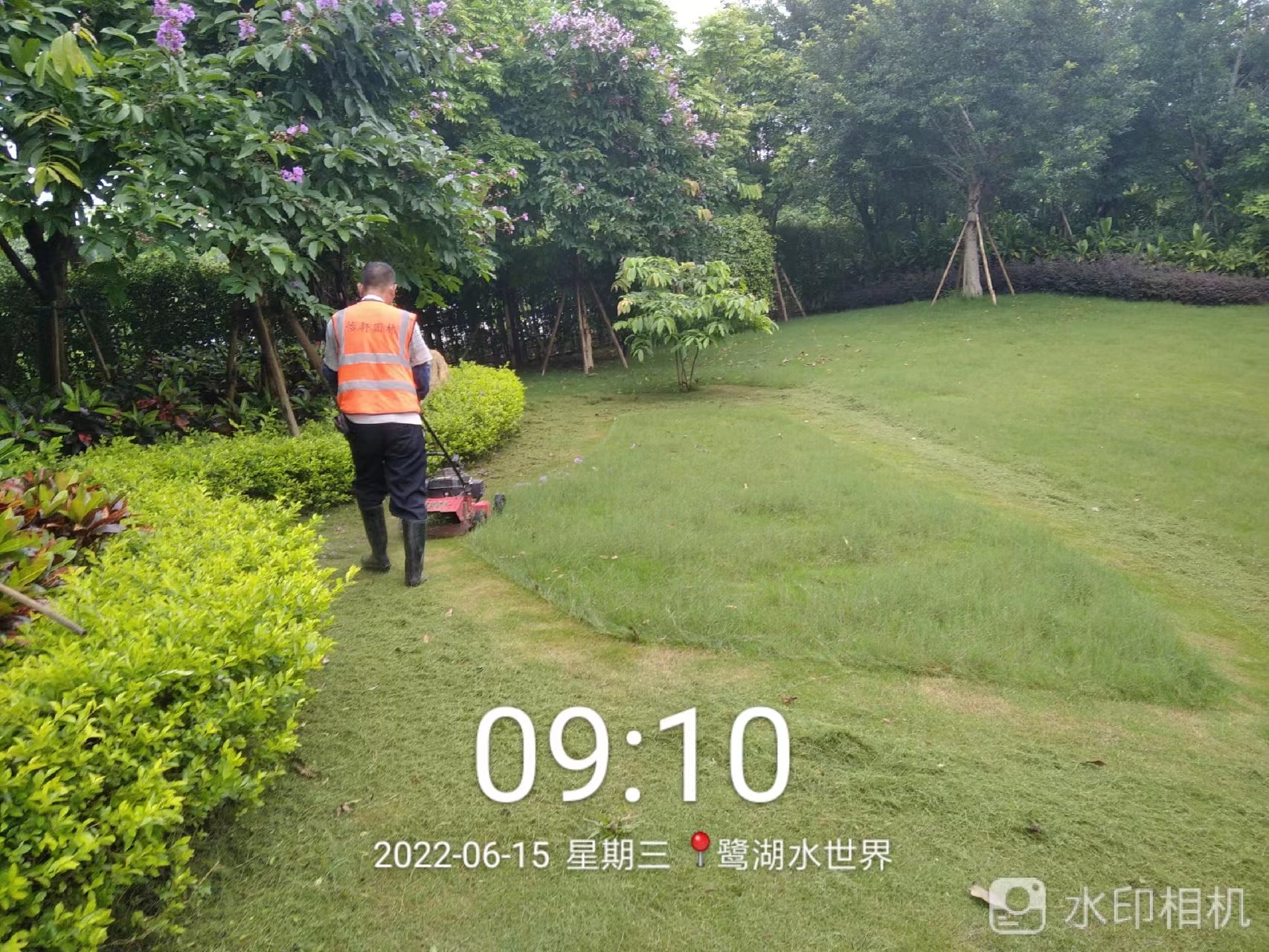 園林綠化養(yǎng)護