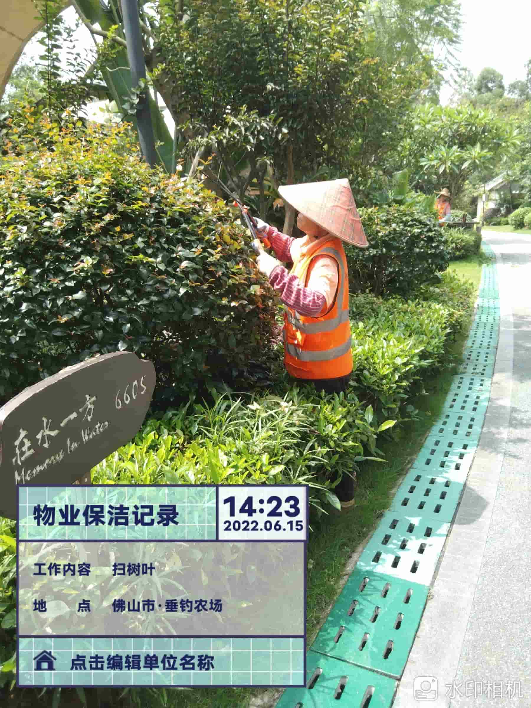 綠化養(yǎng)護(hù),園林綠化養(yǎng)護(hù)公司