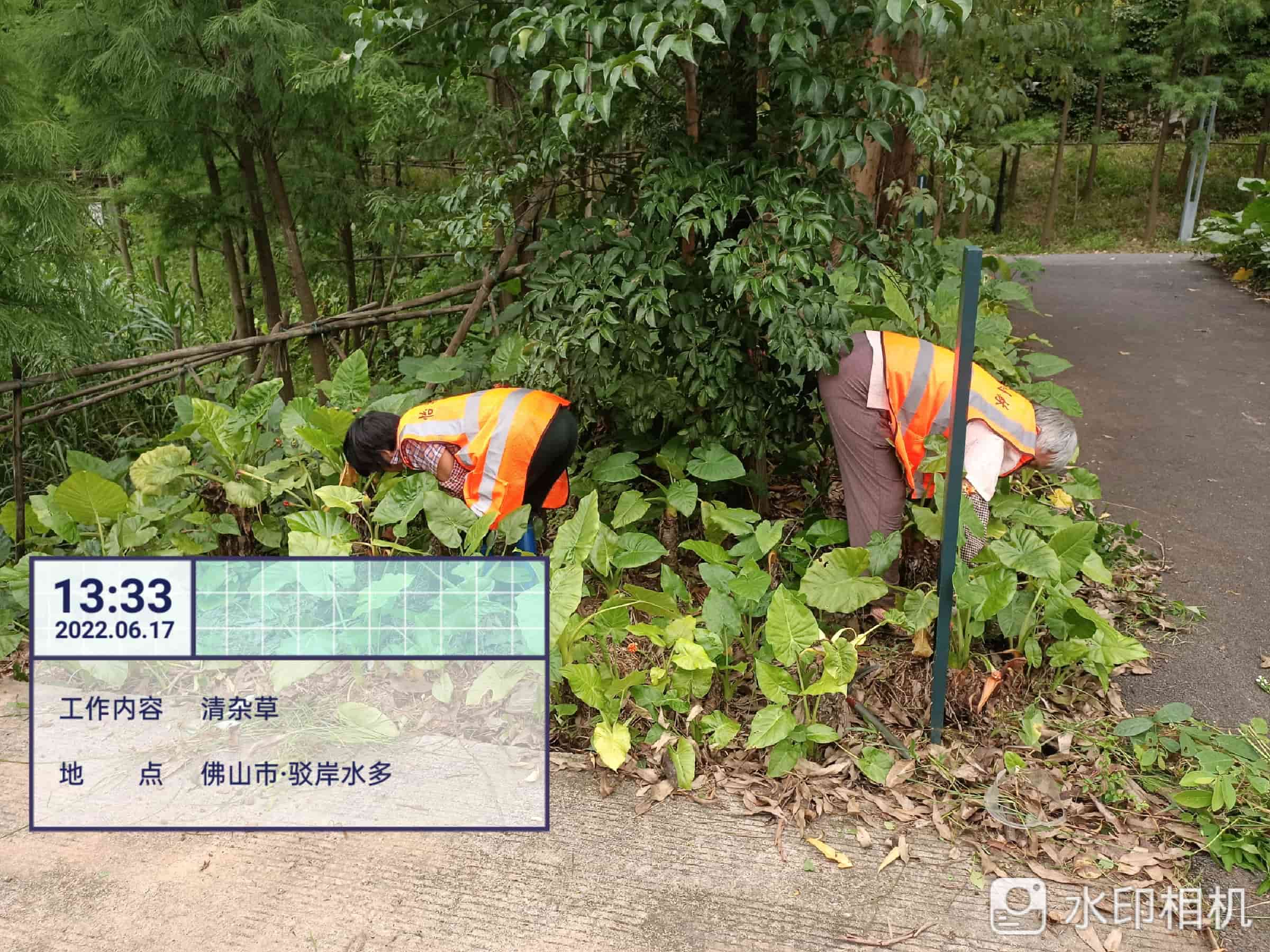 園林綠化養(yǎng)護公司