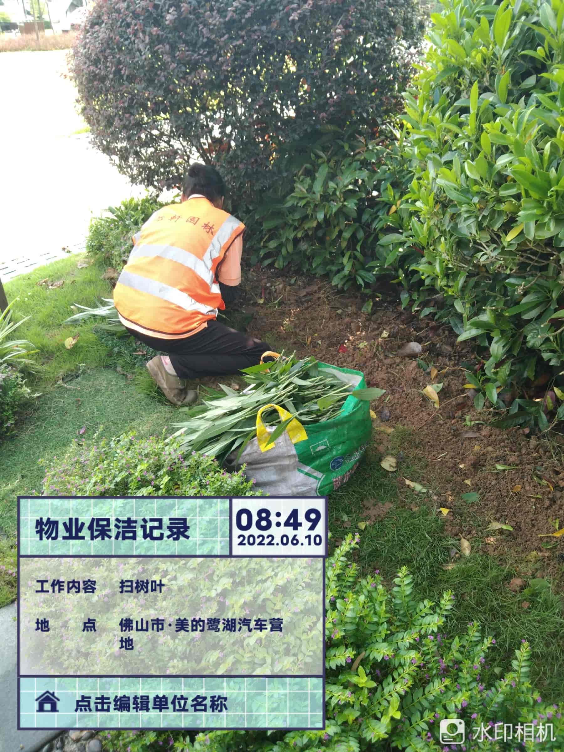 綠化養(yǎng)護(hù)