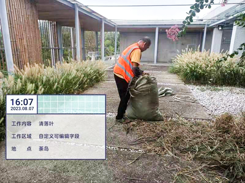 綠化養(yǎng)護(hù),綠化工程