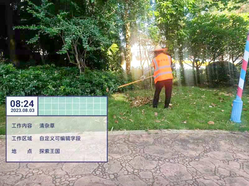 綠化養(yǎng)護(hù),綠化工程