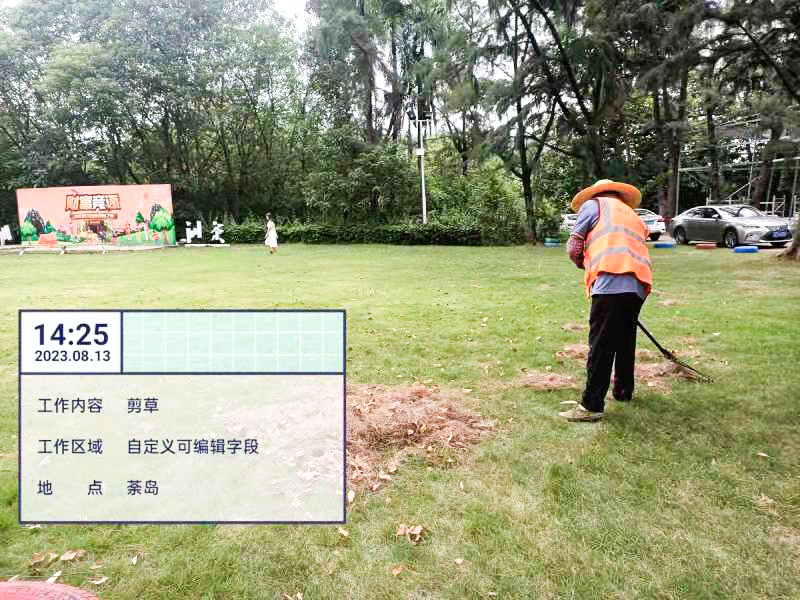 綠化公司,草坪