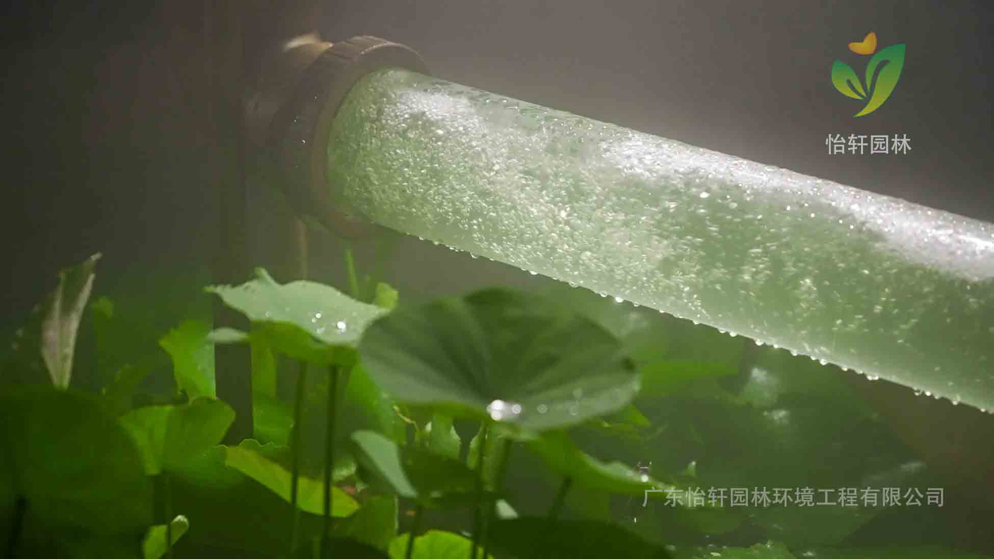 景觀設(shè)計(jì),微藻