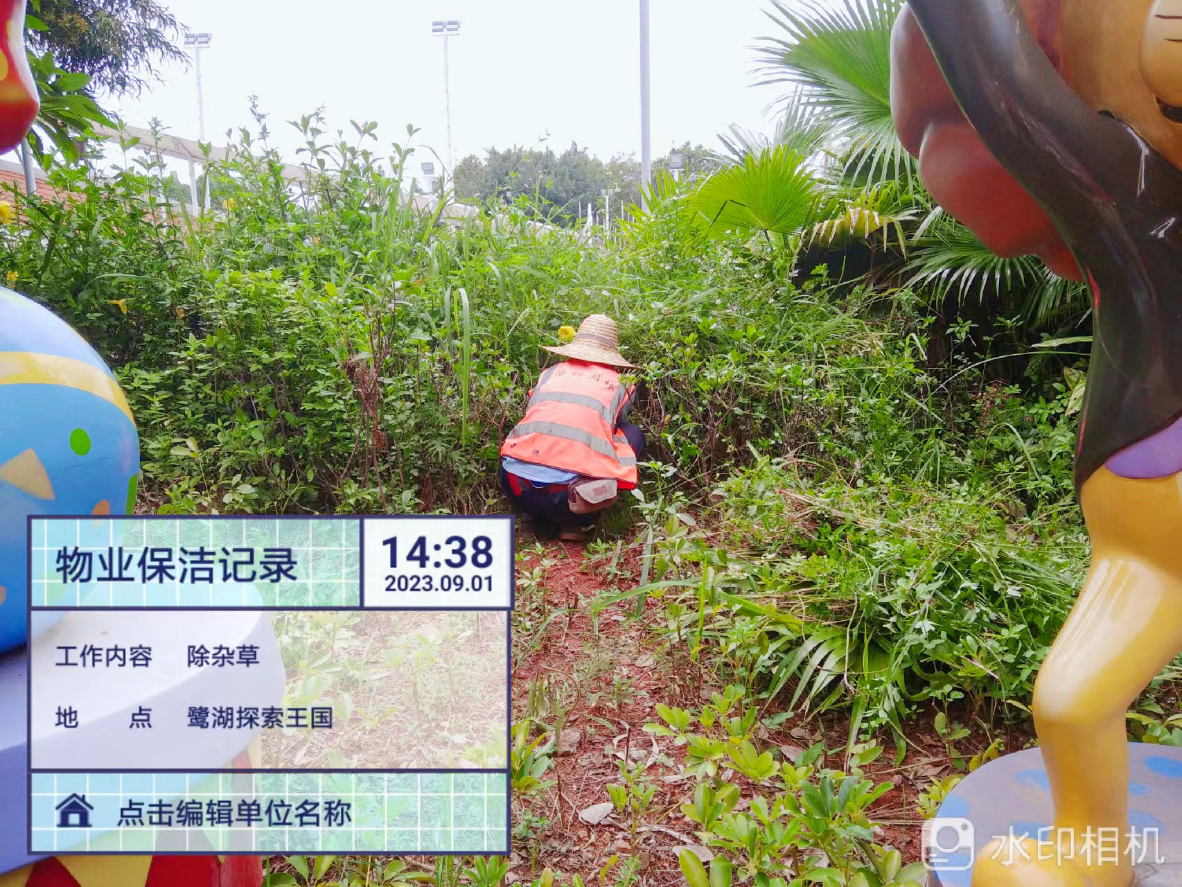 綠化養(yǎng)護