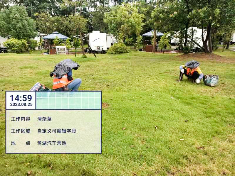 草坪,園林綠化